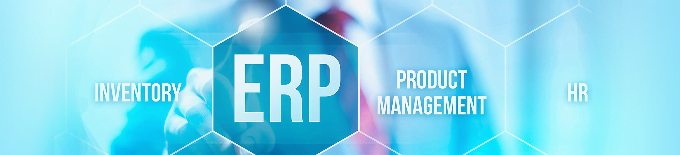 enterprise resource planning erp software development for your